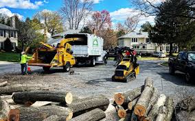 Best Tree Preservation Services  in Barnesville, GA